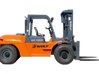 WF1000 — 1