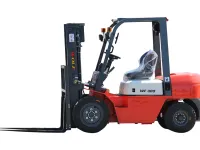 WF300 — 1