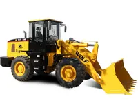 WL 300 — 1