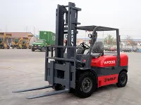 WF500 — 2