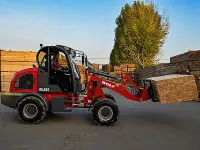 WL 816 — 2