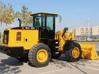 WL 300 — 2
