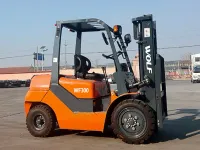 WF300 — 2