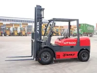 WF500 — 3