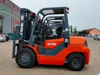 WF300 — 3