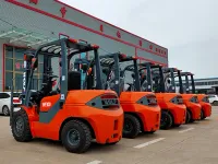 WF300 — 4