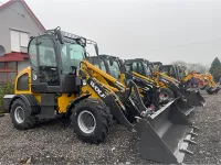 WL 816 — 4