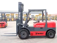 WF500 — 4